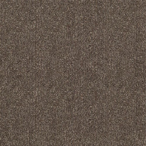 Ковровое покрытие Sintelon Dragon 31431 Ковровое покрытие Sintelon Dragon 31431