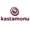 Ламинат Kastamonu (Россия)